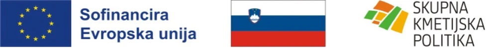 Partner logo 2